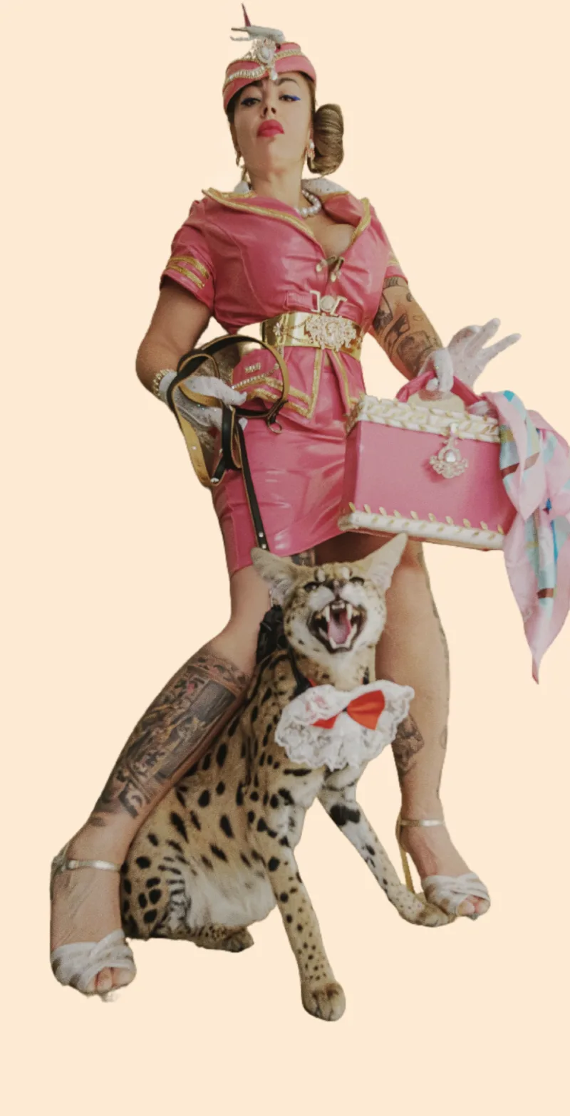 Rosica Bursa - Glitter the serval cat